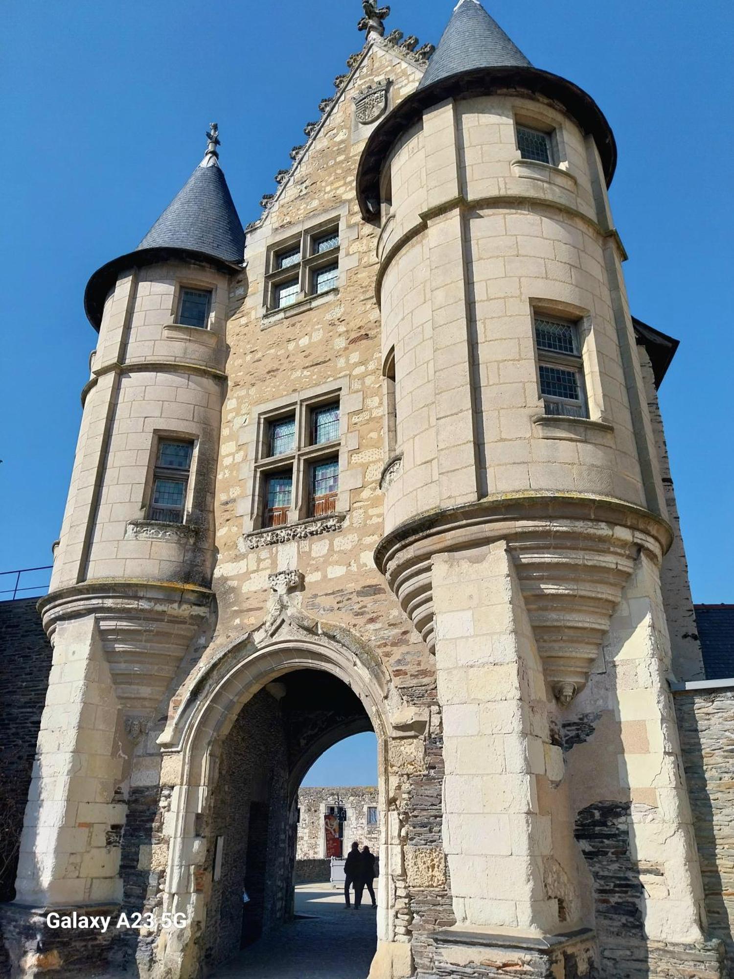 "Chez Lyly Et Juju" Piscine&Sauna Calme 3Chambres Angers Buitenkant foto