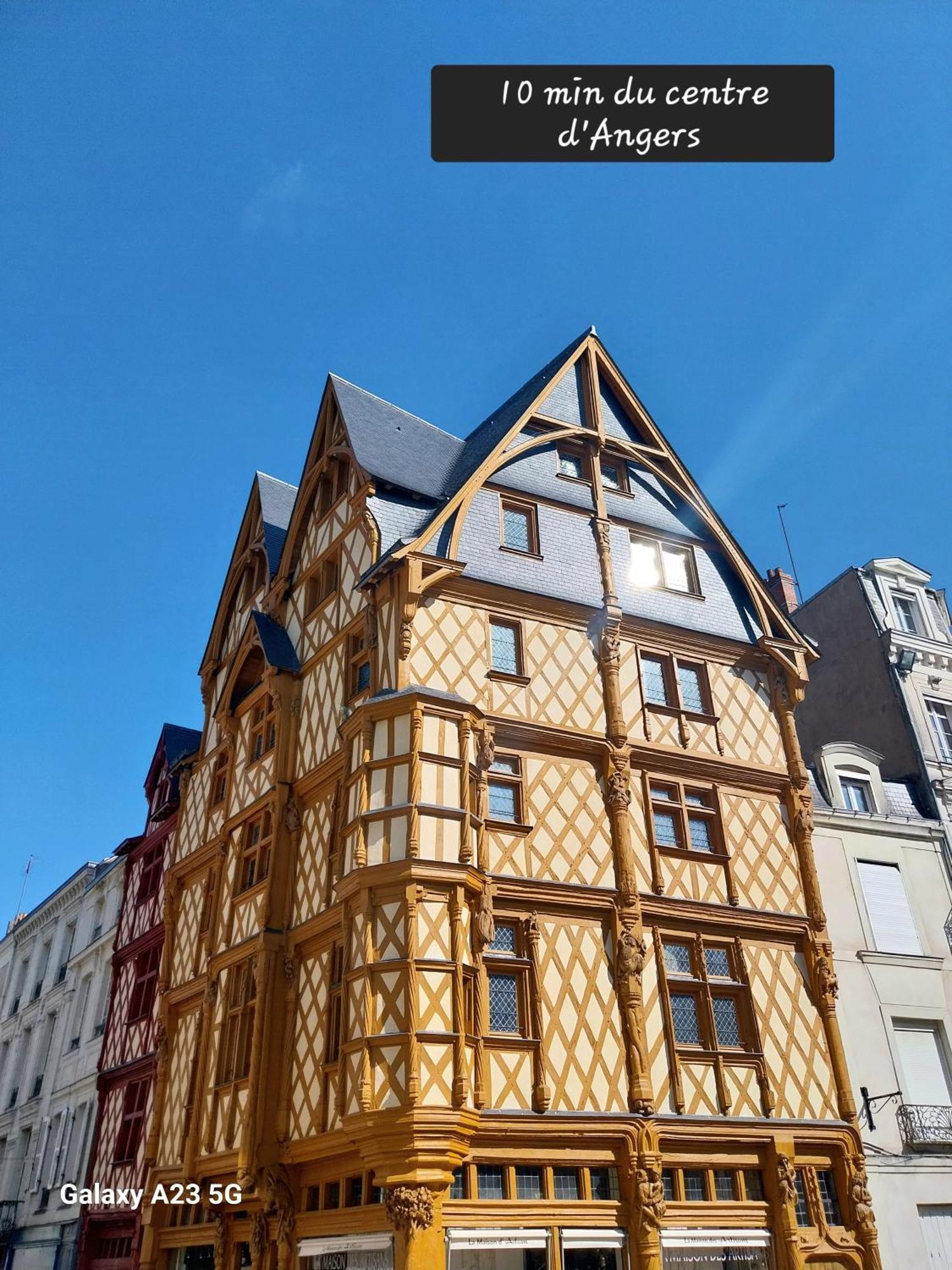 "Chez Lyly Et Juju" Piscine&Sauna Calme 3Chambres Angers Buitenkant foto